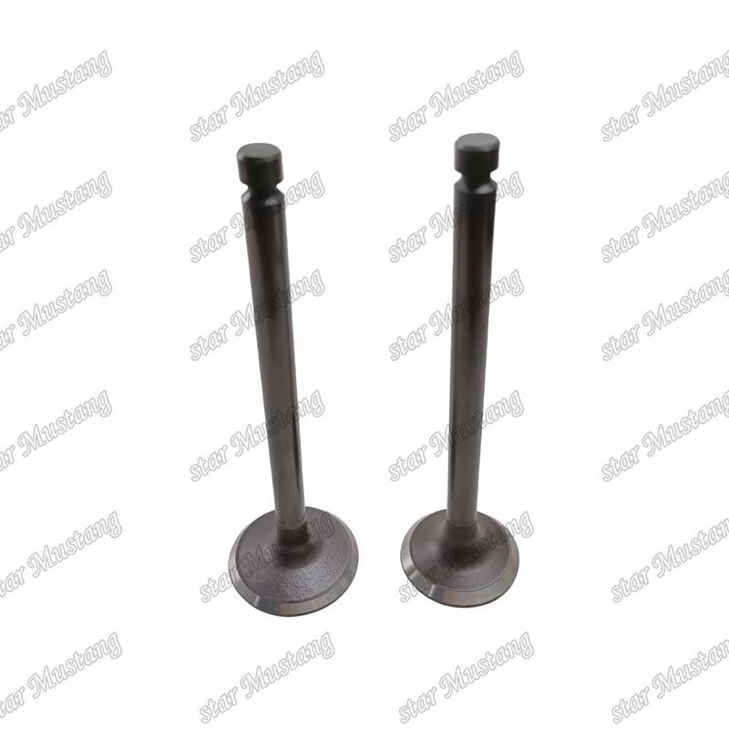 Integral Structure Valve 6D24 ME051063 ME051064 Dizel Motoru Parçası Online Destekle Orijinal Stok