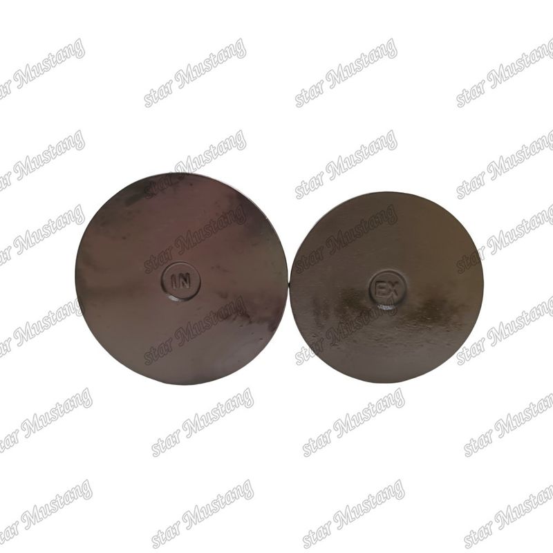 Integral Structure Valve 6D24 ME051063 ME051064 Dizel Motoru Parçası Online Destekle Orijinal Stok
