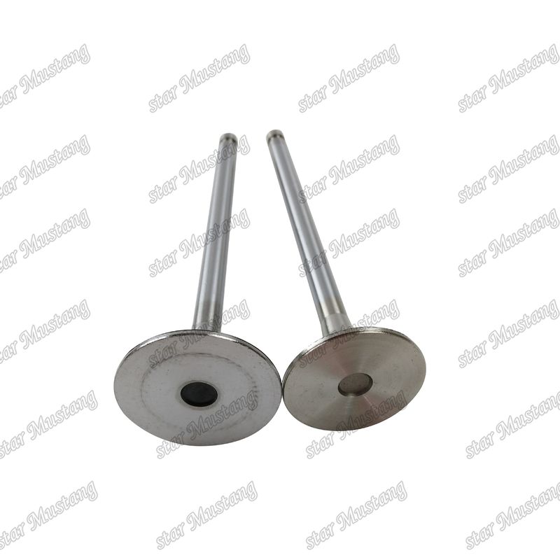 Integral Structure Valve 6M61 ME240748 ME133270 Dizel Motoru Parçası