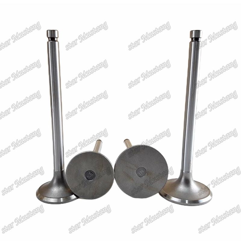 Integral Structure Valve 8DC9 ME051545 ME061547 Dizel Motoru Parçası