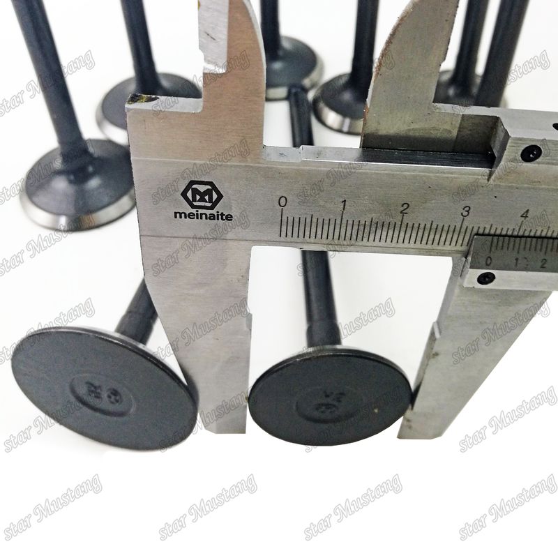Integral Structure Valve D4BB Dizel Motoru Parçası Online Destekle