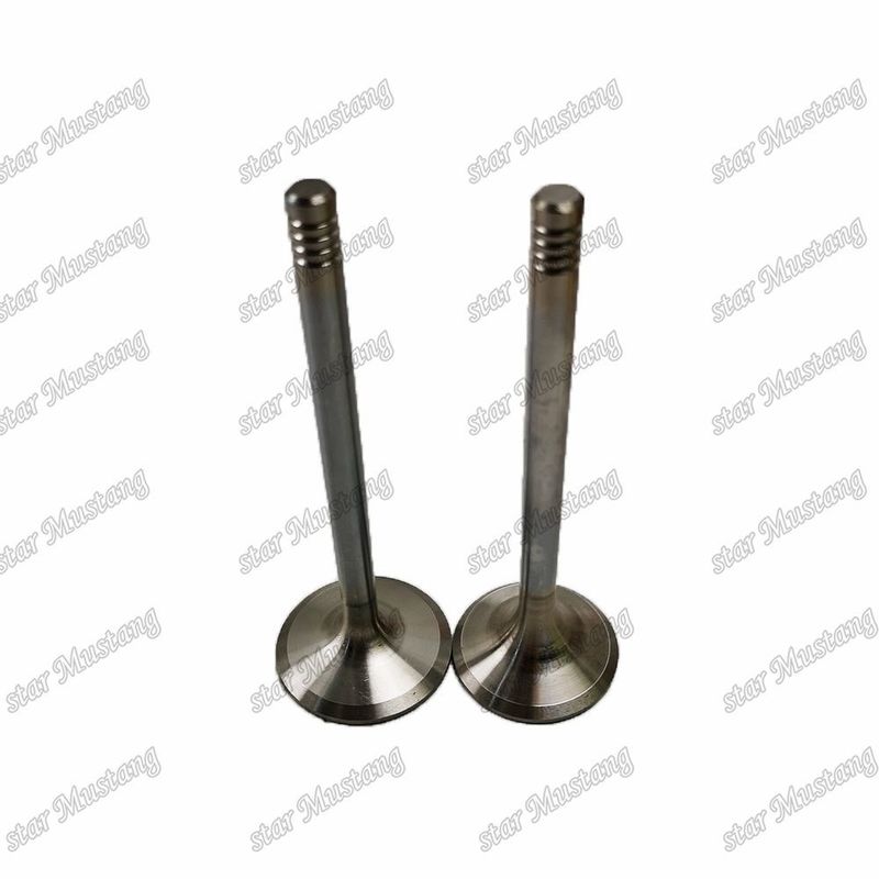 Integral Structure Valve D924 9279578 9279579 Dizel Motoru Parçası