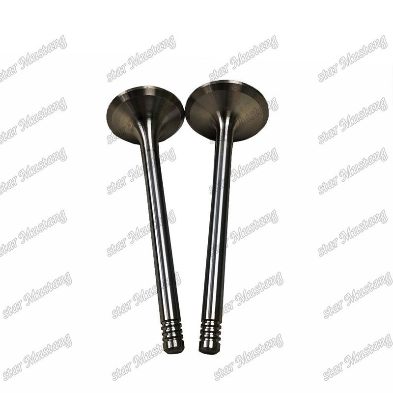 Integral Structure Valve D924 9279578 9279579 Dizel Motoru Parçası