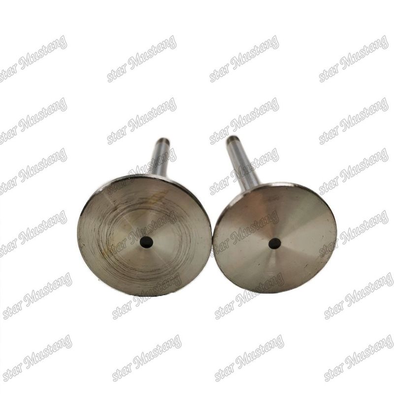 Integral Structure Valve D924 9279578 9279579 Dizel Motoru Parçası