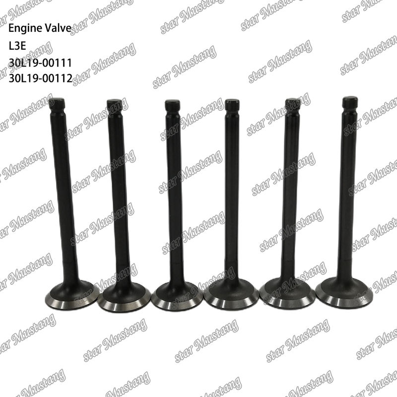 L3E 30L19-00111 30L19-00112 Dizel Motor Parçası Orijinal Stok ve Çevrimiçi Destek