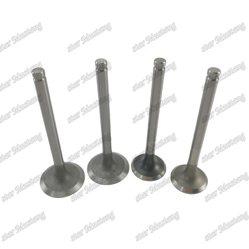 Integral Structure Valve 1004 3142L072 3142A051 Dizel Motoru Parçası