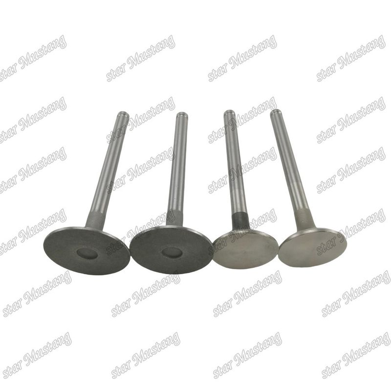 Integral Structure Valve 1004 3142L072 3142A051 Dizel Motoru Parçası
