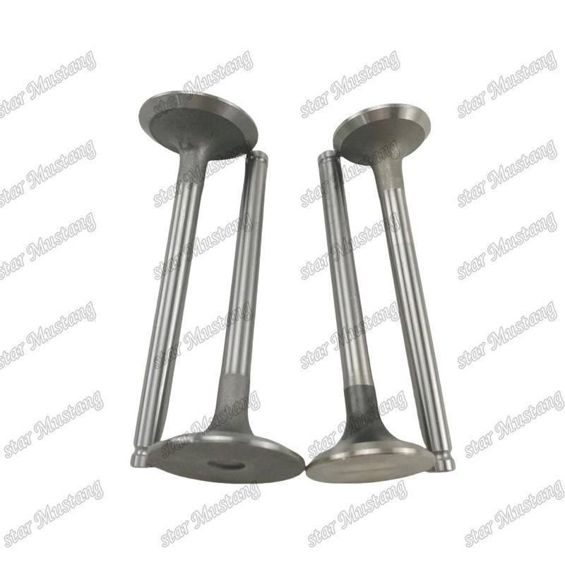 Integral Structure Valve 1004 3142L072 3142A051 Dizel Motoru Parçası