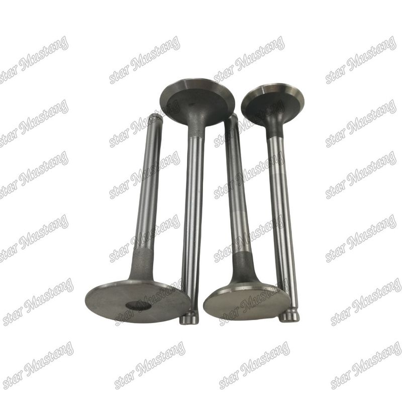 Integral Structure Valve 1004T 3142H002 3142A051 Dizel Motoru Parçası