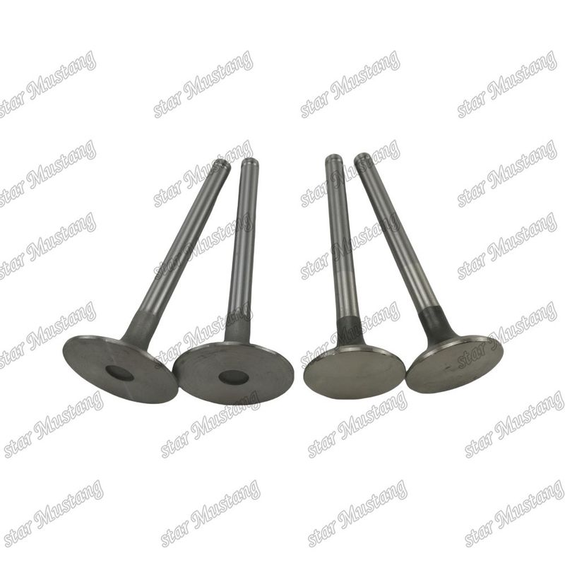 Integral Structure Valve 1004T 3142H002 3142A051 Dizel Motoru Parçası