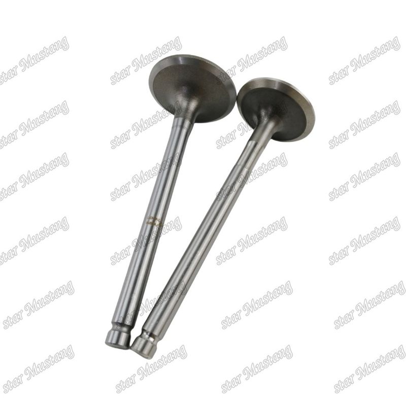 Integral Structure Valve 1104C-44T 3142H071 3142A151 Dizel Motoru Parçası