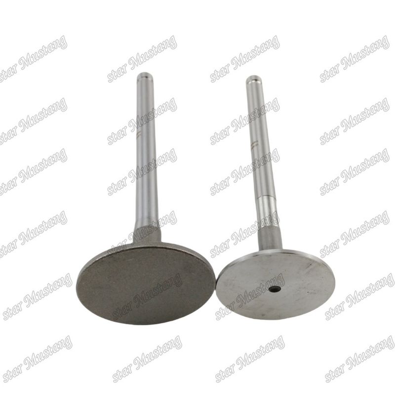 Integral Structure Valve 1104C-44T 3142H071 3142A151 Dizel Motoru Parçası