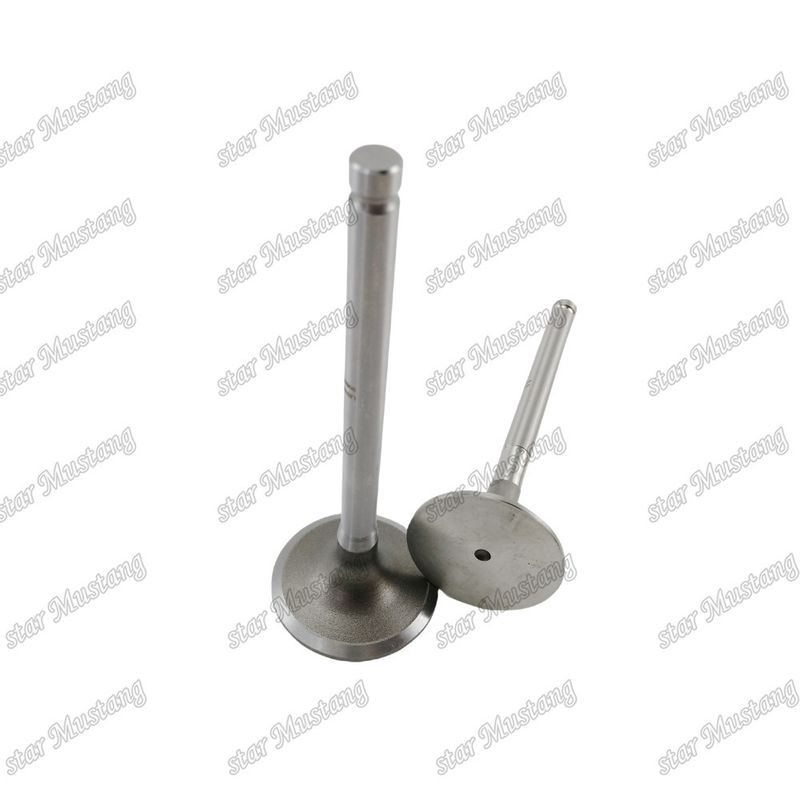 Integral Structure Valve 1104C-44T 3142H071 3142A151 Dizel Motoru Parçası