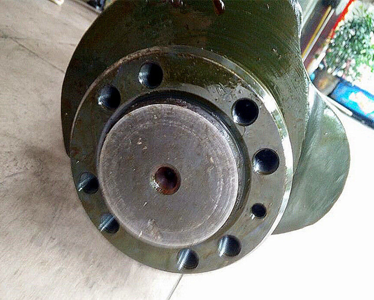 65.02101-0056 65.02101-7025  Dizel Motor Parçaları  D2366    Ekskavatör İçin  Kamyon Krank Mili